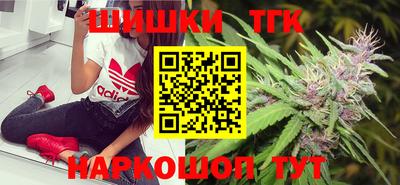 индика Гатчина