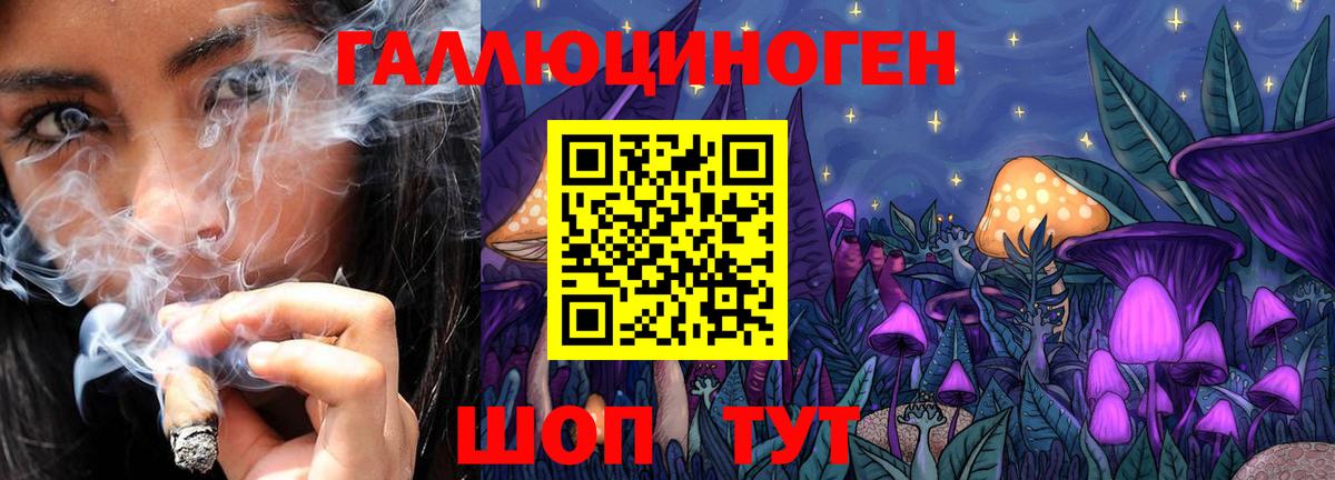 Сергиев Посад  Галлюциногенные грибы мухоморы  Вход с VPN 